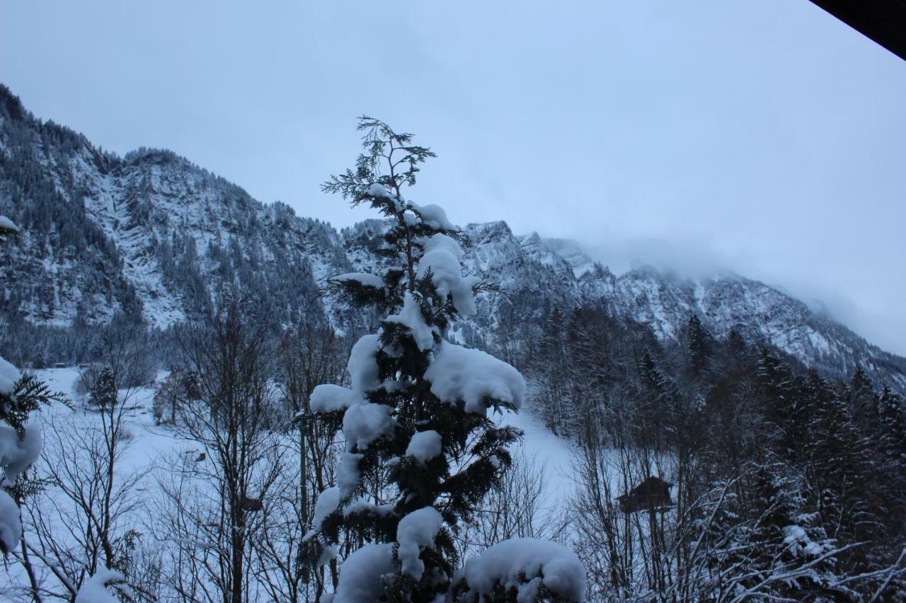Chalet Burglauenen กรินเดลวัลด์ ภายนอก รูปภาพ
